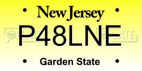 P48LNE New Jersey License Plate
