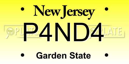 P4ND4 New Jersey License Plate