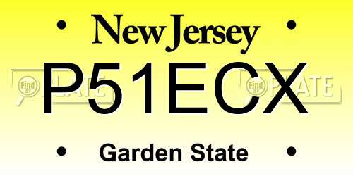 P51ECX New Jersey License Plate