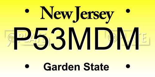 P53MDM New Jersey License Plate
