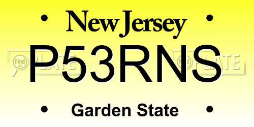 P53RNS New Jersey License Plate