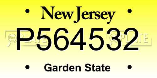 P564532 New Jersey License Plate