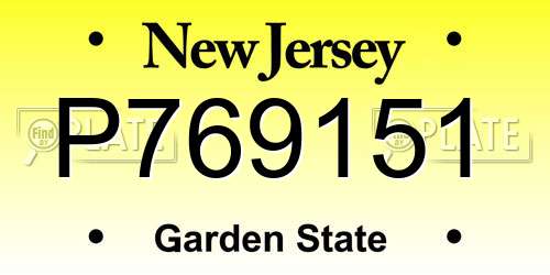P769151 New Jersey License Plate