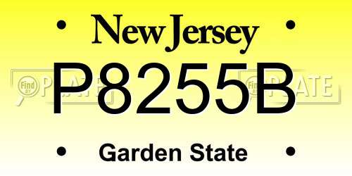 P8255B New Jersey License Plate