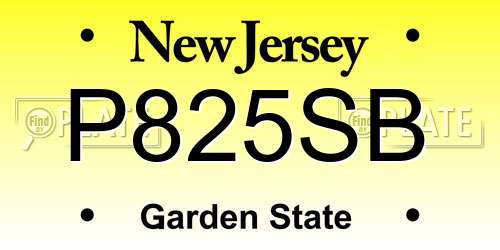 P825SB New Jersey License Plate