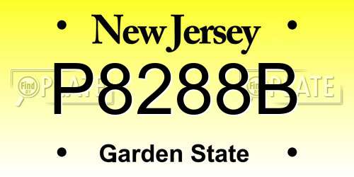 P8288B New Jersey License Plate