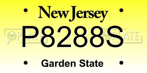 P8288S New Jersey License Plate