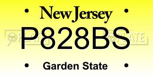P828BS New Jersey License Plate