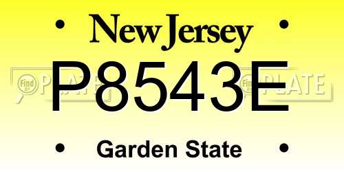 P8543E New Jersey License Plate