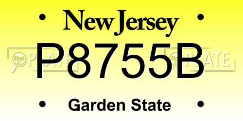 P8755B New Jersey License Plate