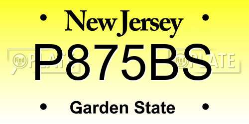 P875BS New Jersey License Plate