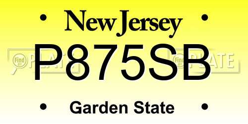 P875SB New Jersey License Plate