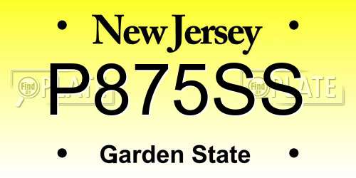 P875SS New Jersey License Plate
