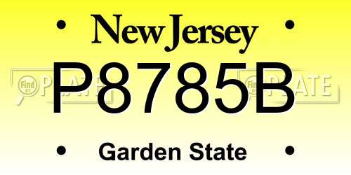 P8785B New Jersey License Plate