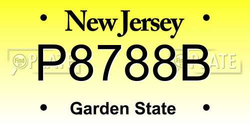 P8788B New Jersey License Plate