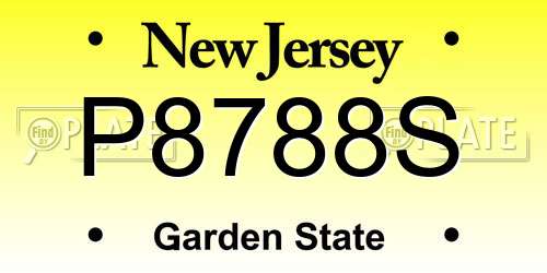 P8788S New Jersey License Plate