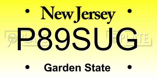 P89SUG New Jersey License Plate