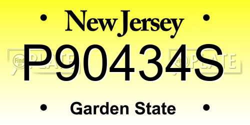 P90434S New Jersey License Plate