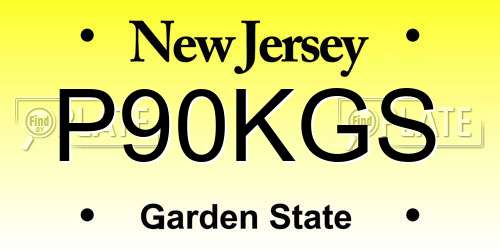 P90KGS New Jersey License Plate