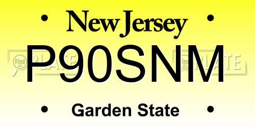 P90SNM New Jersey License Plate