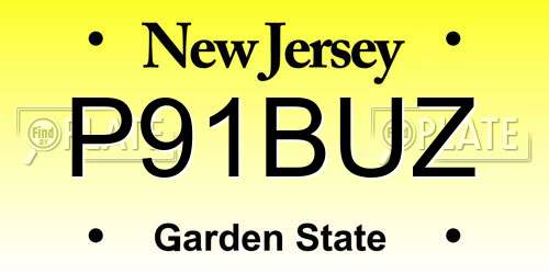 P91BUZ New Jersey License Plate
