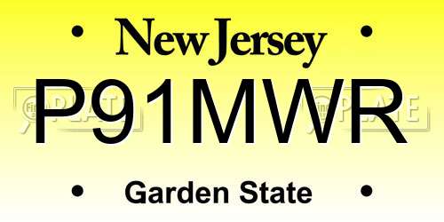 P91MWR New Jersey License Plate