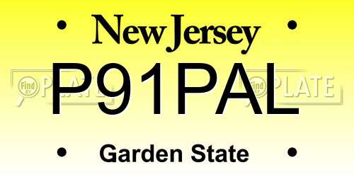 P91PAL New Jersey License Plate