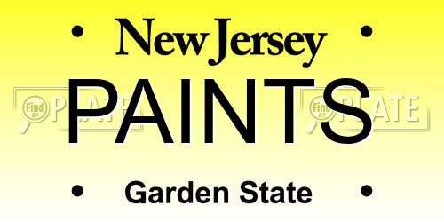 PAINTS New Jersey License Plate