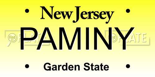 PAMINY New Jersey License Plate