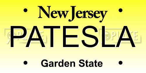 PATESLA New Jersey License Plate