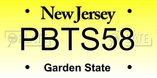 PBTS58 New Jersey License Plate