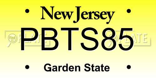 PBTS85 New Jersey License Plate