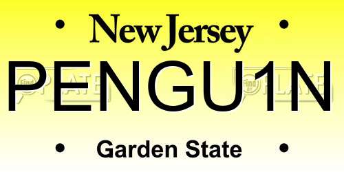 PENGU1N New Jersey License Plate