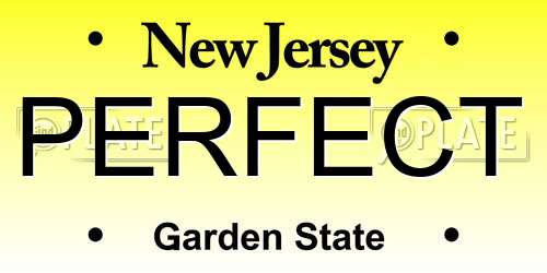 PERFECT New Jersey License Plate