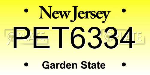 PET6334 New Jersey License Plate