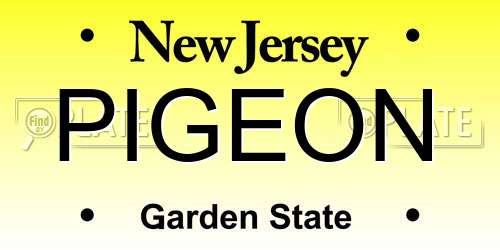 PIGEON New Jersey License Plate