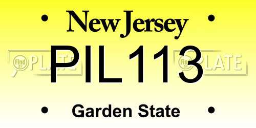 PIL113 New Jersey License Plate