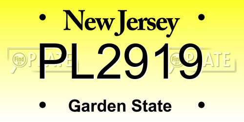 PL2919 New Jersey License Plate