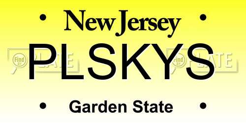 PLSKYS New Jersey License Plate