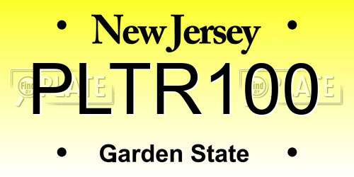 PLTR100 New Jersey License Plate