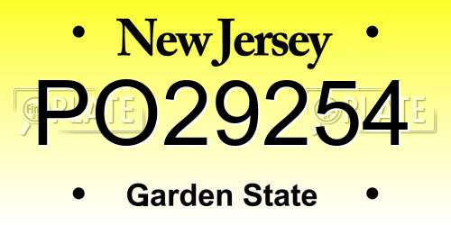 PO29254 New Jersey License Plate