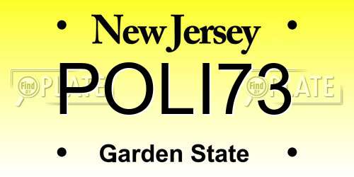POLI73 New Jersey License Plate