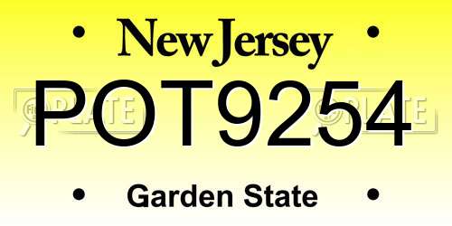 POT9254 New Jersey License Plate