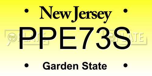 PPE73S New Jersey License Plate