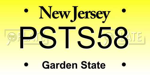 PSTS58 New Jersey License Plate