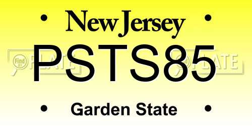 PSTS85 New Jersey License Plate