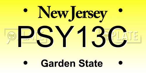 PSY13C New Jersey License Plate
