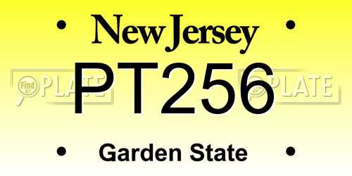 PT256 New Jersey License Plate
