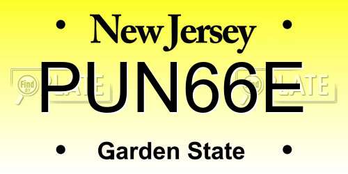 PUN66E New Jersey License Plate