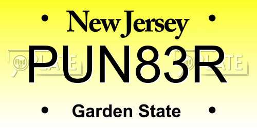 PUN83R New Jersey License Plate
